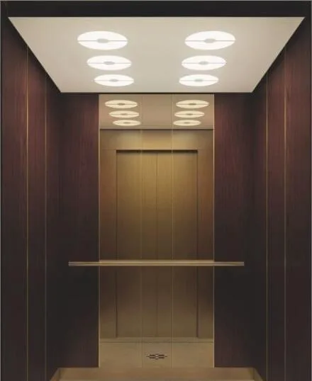 Advanced High-Performance Passenger Elevator for High-Rise & Commercial Buildings cabin finish